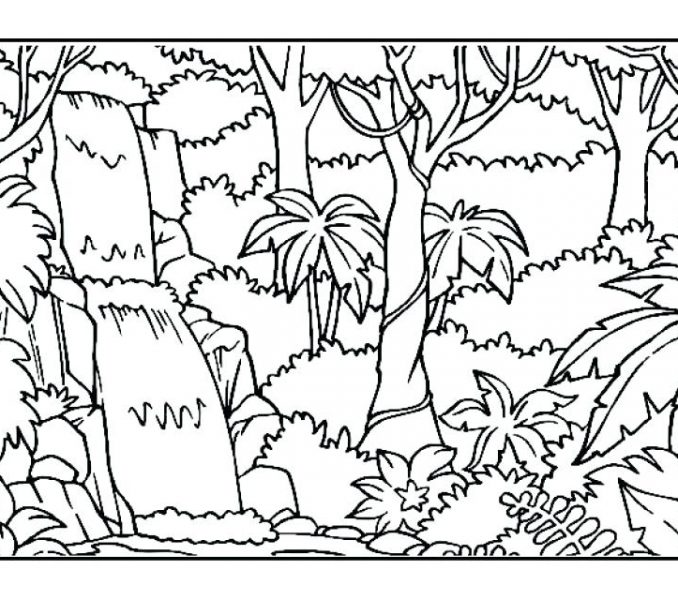 678x600 Printable Rainforest Coloring Pages Coloring Page Ideas