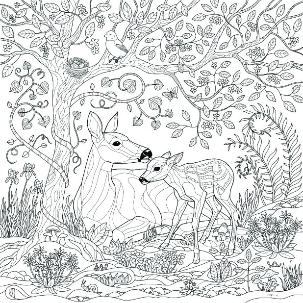 618x618 Rainforest Coloring Page Forest Coloring Pages Printable Deer