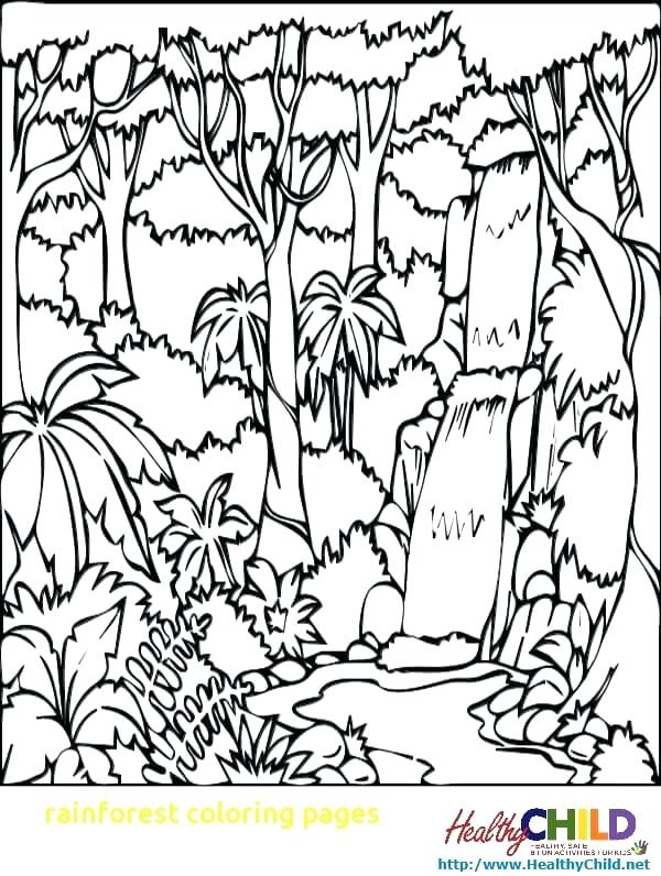 600x796 Rainforest Coloring Pages Coloring Pages With Ideas Coloring Page