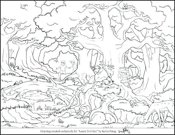 564x437 Coloring Pages Collection Forest Coloring Sheet Forest Coloring