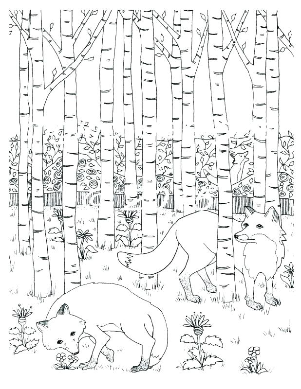 618x800 Tropical Rainforest Coloring Pages Cartoon Coloring Pages Coloring