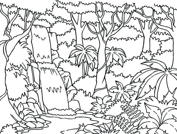 600x453 Forest Coloring Page Forest Coloring Pages Forest Coloring Page