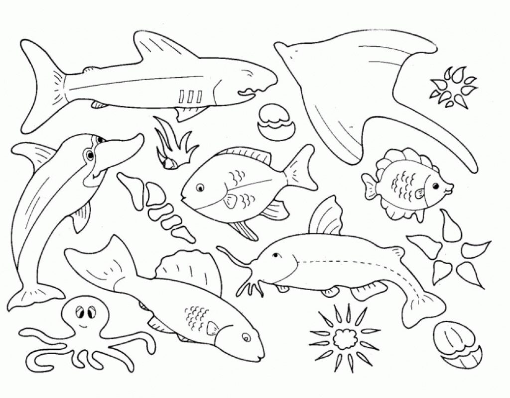 1024x800 Complete Sea Animal Printables Innovative Ocean Realistic Animals