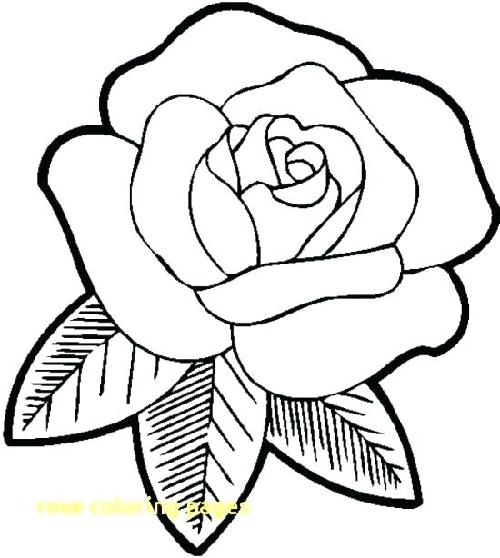 Printable Rose Coloring Pages