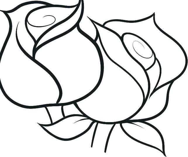 Pictures Of Roses To Color With Free Printable Rose Coloring Pages 643x535 Pictures Of Roses To Color With Free Printable Rose Coloring Pages