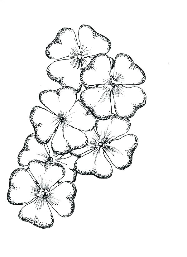600x825 Printable Shamrock Coloring Pages Printable Shamrocks To Color