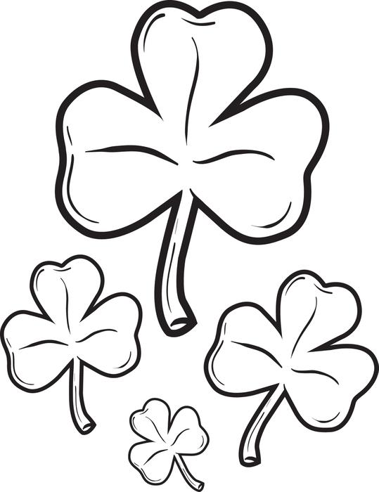 539x700 Shamrock Coloring Pages