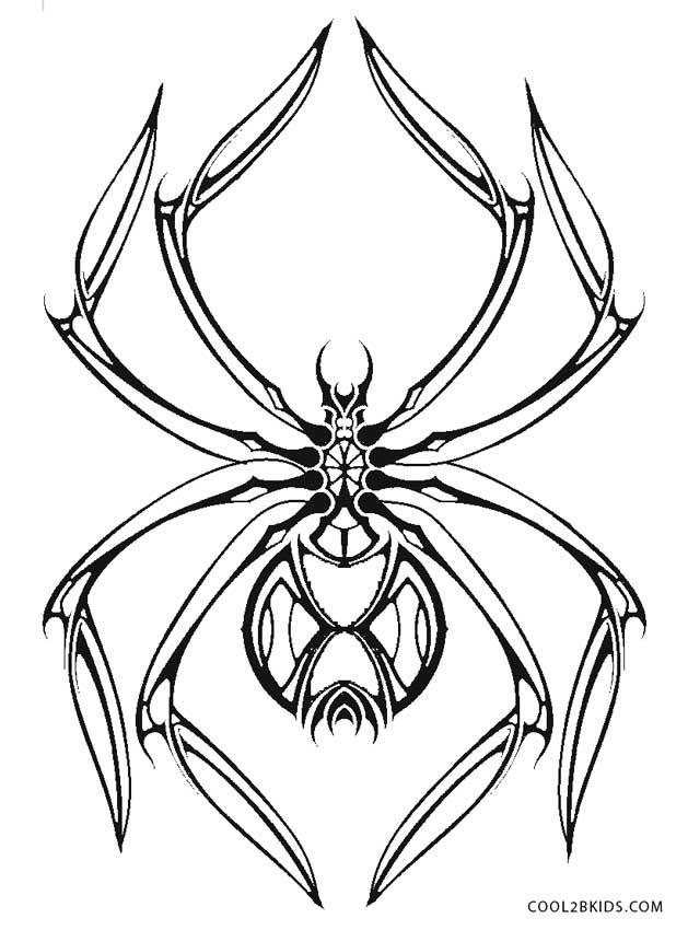 629x850 Free Printable Spider Coloring Pages For Kids Cool2bkids