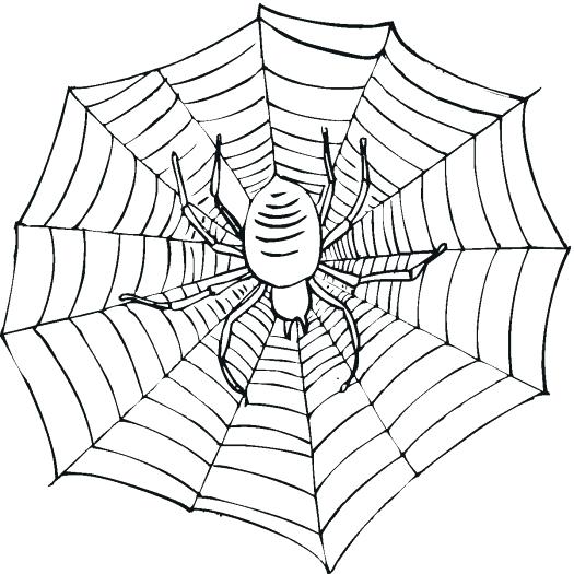 525x525 Spider Web Coloring Page Spider Color Pages Pin Spider Coloring