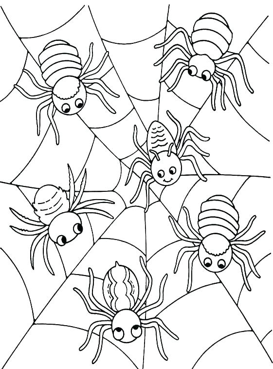 561x758 Printable Spider Coloring Pages Printable Coloring Spider Color