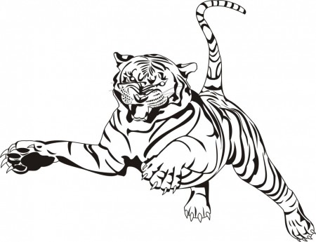 450x345 Free Printable Tiger Coloring Pages For Kids