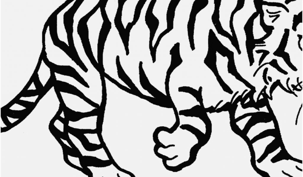 1024x600 Printable Animal Pictures Design Instructive Printable Tiger