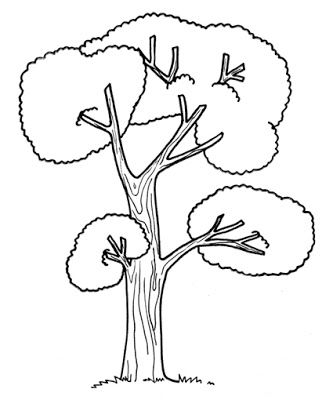 Printable Tree Coloring Page