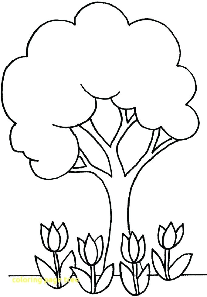 682x976 Free Printable Christmas Tree Coloring Pages Coloring Page Tree