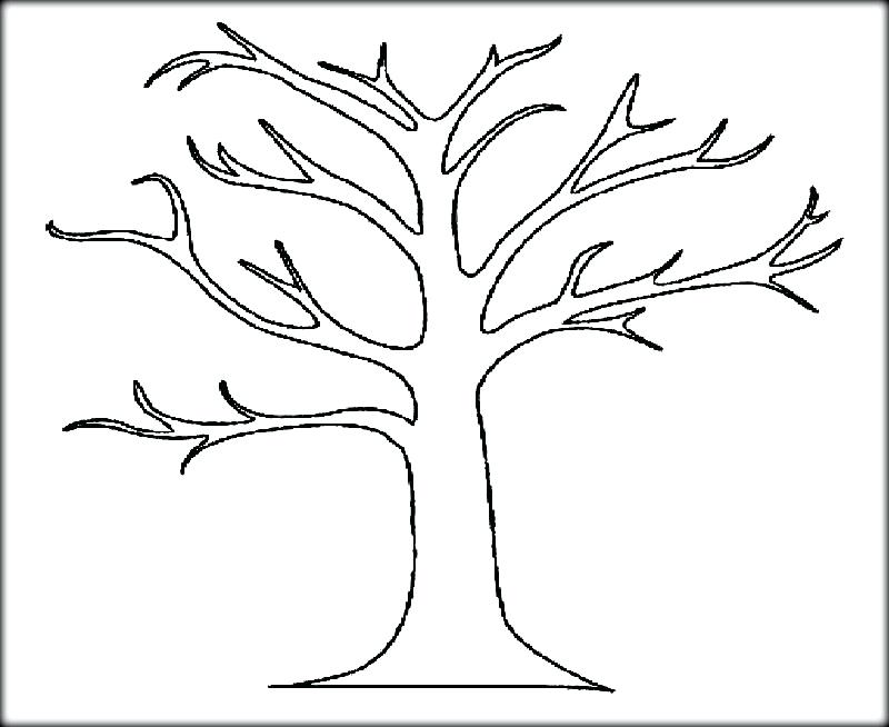 800x654 Free Printable Tree Template Tree Without Leaves Of Bare Tree