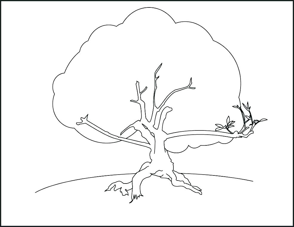 985x762 Apple Tree Coloring Pages Tree Coloring Pages The Giving Tree