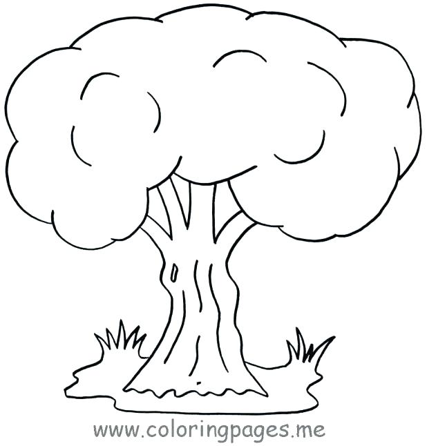 618x646 Tree Coloring Pages Coloring Pages Trees Printable Tree Coloring