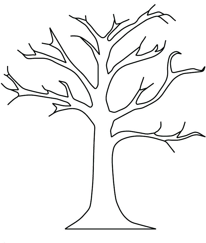 700x825 Autumn Tree Coloring Pages Printable Tree Coloring Pages Bare Tree