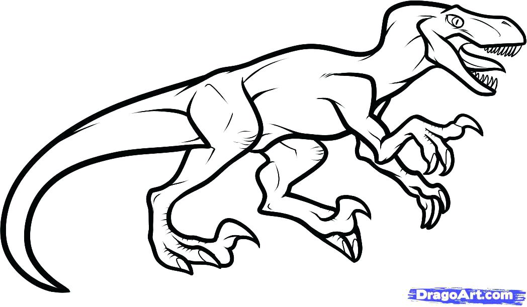 1048x611 Velociraptor Coloring Page Coloring Pages How To Draw A Step 8 1