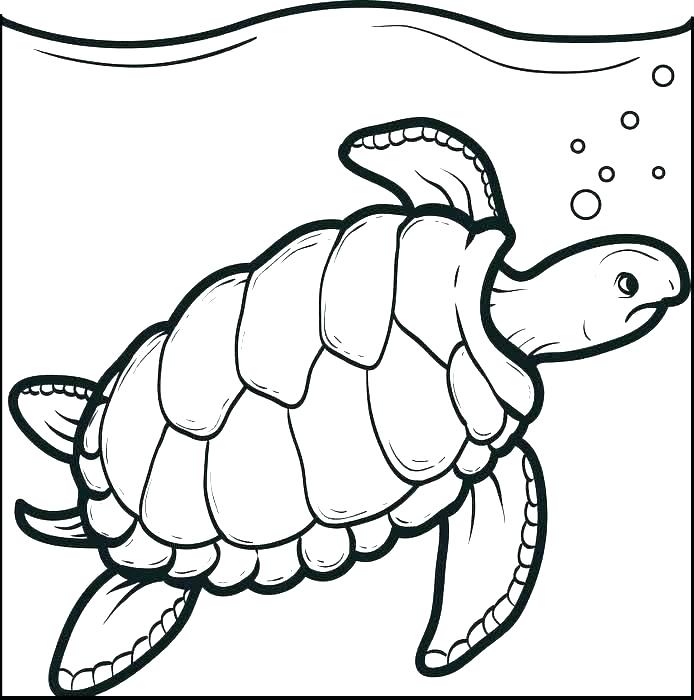 694x700 Ninja Turtle Coloring Pages Online Ninja Turtles Free Coloring