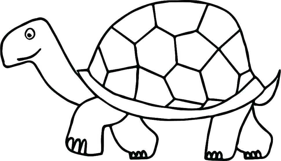970x556 Ninja Turtles Coloring Sheet Printable Turtle Coloring Pages Free
