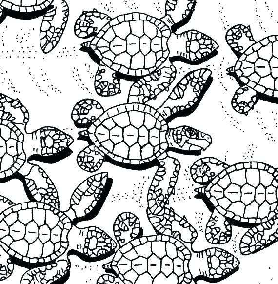 570x582 Printable Turtle Coloring Pages Coloring Pages Ninja Turtles Kids