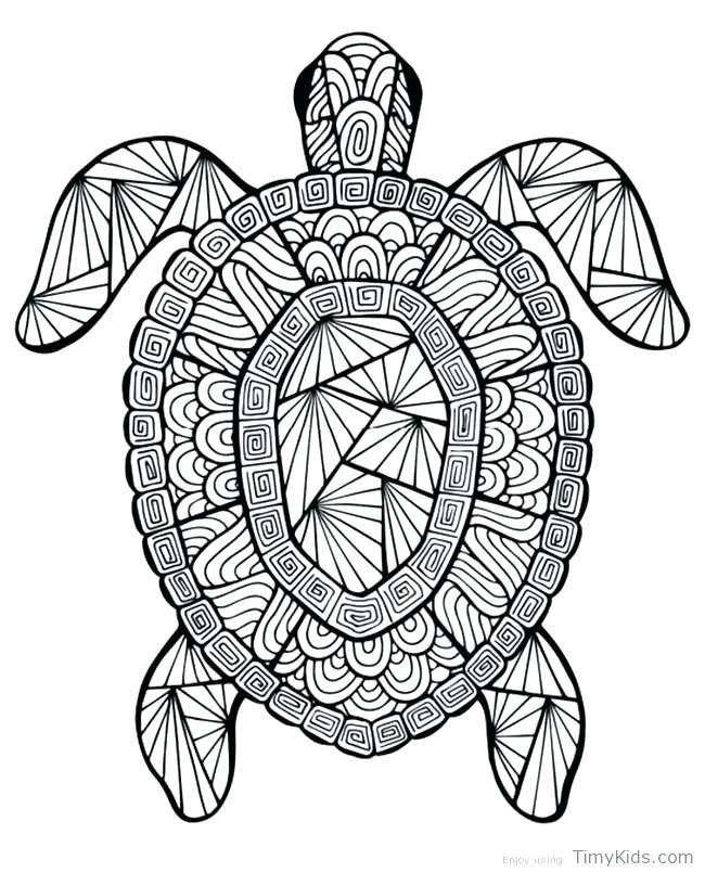 650x805 Coloring Pages Detailed Sea Turtle Advanced Coloring Baby Turtle