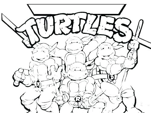 500x374 Coloring Pages Of Turtles Coloring Pages Turtle Printable Turtle