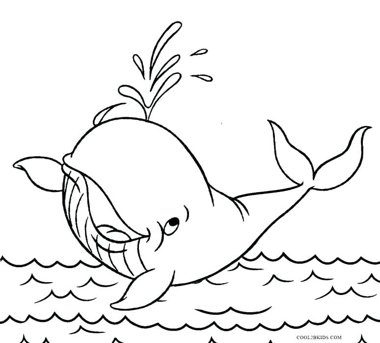 Killer Whale Coloring Page Printable Whale Coloring Pages For Kids 774x700 Killer Whale Coloring Page Printable Whale Coloring Pages For Kids