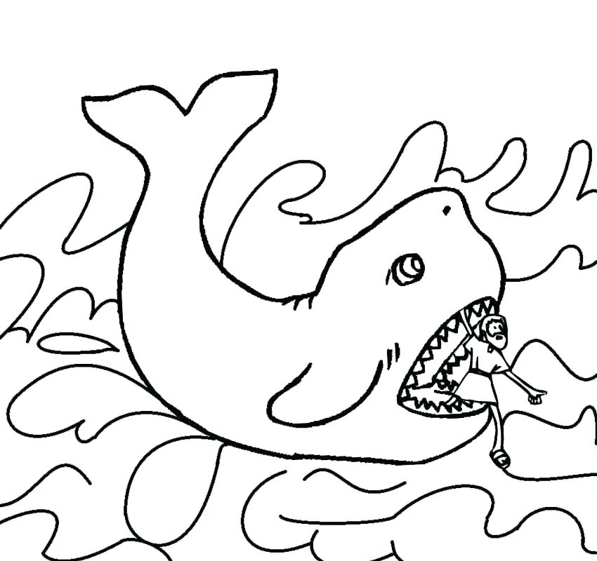 Whale Coloring Pages Printable Printable Pictures Killer Whale 850x800 Whale Coloring Pages Printable Printable Pictures Killer Whale