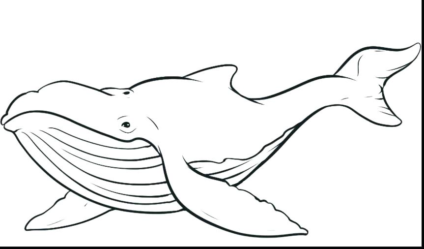 Whale Coloring Pages Whale Whale Coloring Pages Free Humpback 863x506 Whale Coloring Pages Whale Whale Coloring Pages Free Humpback