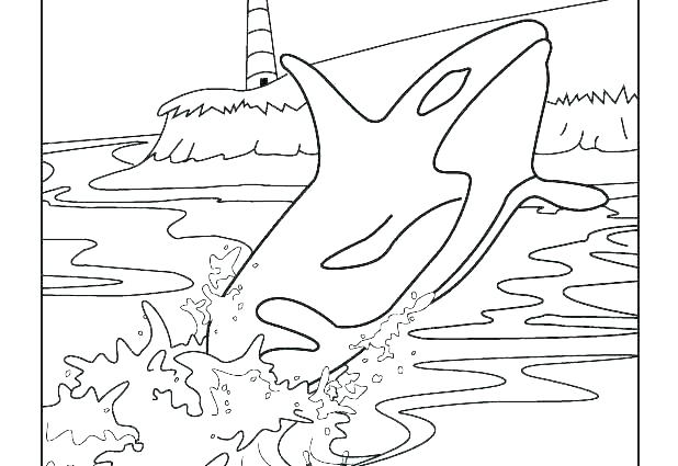 Whale Coloring Pictures 618x425 Whale Coloring Pictures
