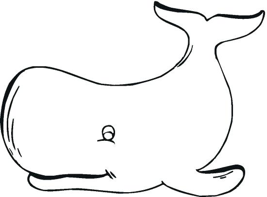 Good Whale Coloring Pages And Whale 5 Free Printable Whale 550x407 Good Whale Coloring Pages And Whale 5 Free Printable Whale