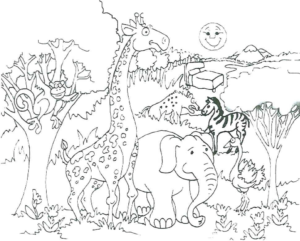 Printable Pictures Of Zoo Animals Coloring Pages Zoo Animals 970x780 Printable Pictures Of Zoo Animals Coloring Pages Zoo Animals