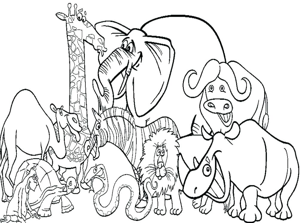 Zoo Coloring Sheets Coloring Pages Zoo Animals Coloring Page Zoo 1007x745 Zoo Coloring Sheets Coloring Pages Zoo Animals Coloring Page Zoo