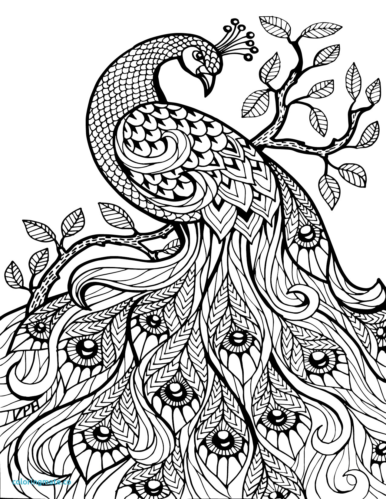 Professional Coloring Pages Fresh Free Download Adult Coloring 1275x1650 Professional Coloring Pages Fresh Free Download Adult Coloring