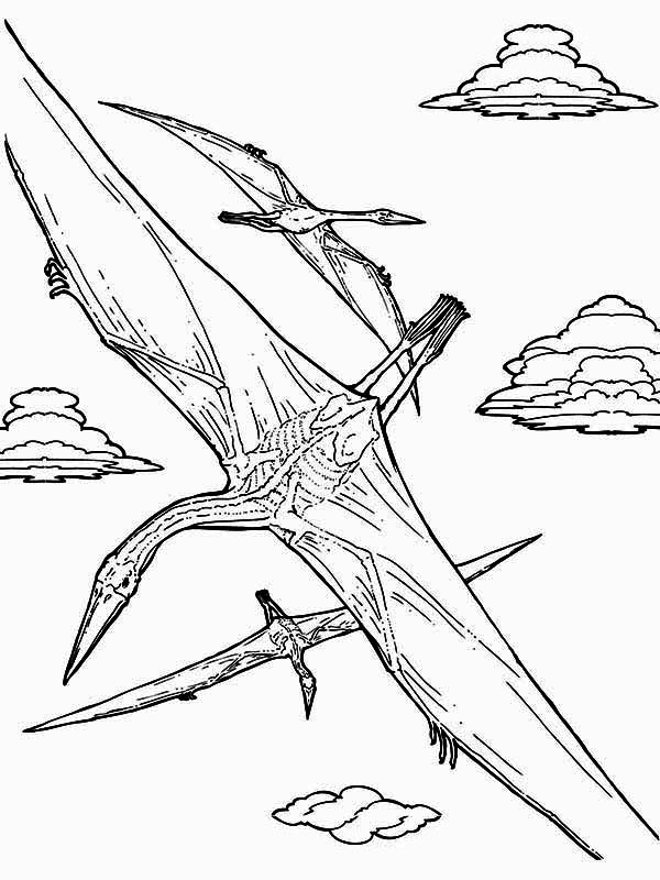 600x800 Pteranodon Coloring Page 341818