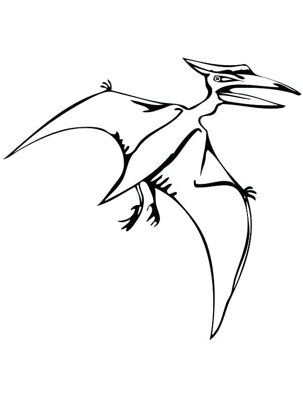 600x800 Pteranodon Coloring Page Astonishing Coloring Pages About Remodel