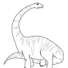 220x220 Pteranodon Coloring Pages