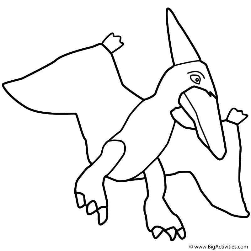 Pterodactyl 800x800 Pterodactyl