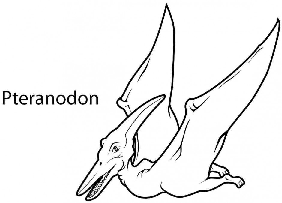 28 Pterodactyl Coloring Page Printable Free Coloring Pages 940x677 28 Pterodactyl Coloring Page Printable Free Coloring Pages