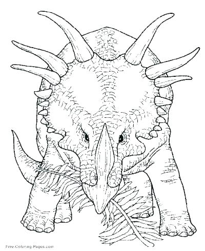 Pterodactyl Coloring Pages Pterodactyl Coloring Page Pterodactyl 400x490 Pterodactyl Coloring Pages Pterodactyl Coloring Page Pterodactyl