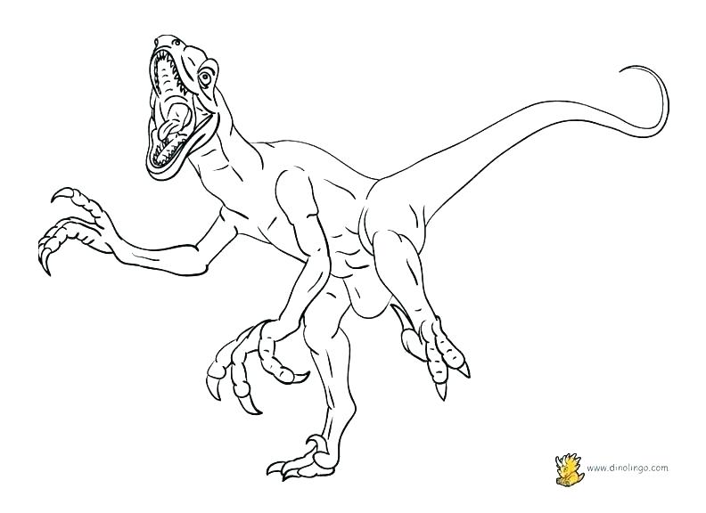Pterodactyl Coloring Pages 792x576 Pterodactyl Coloring Pages
