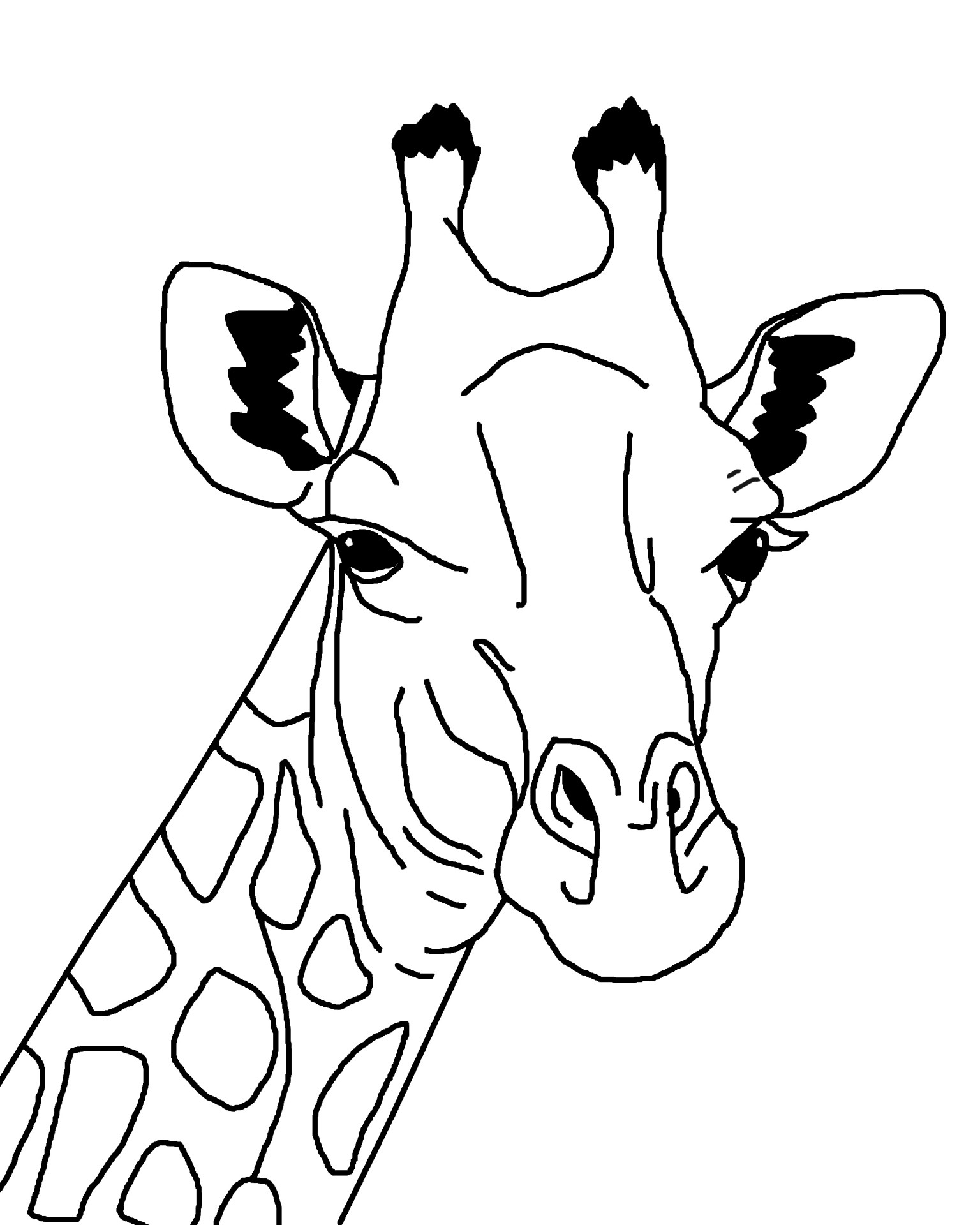 1536x1920 Giraffe Outline Illustration Free Stock Photo