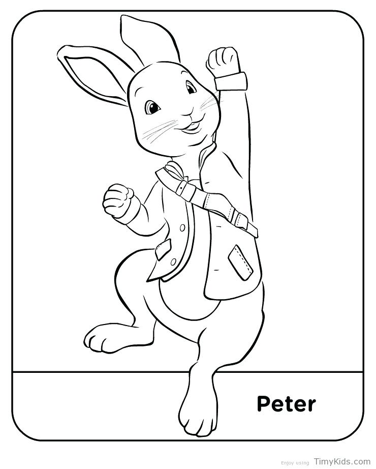 Beatrix Potter Peter Rabbit Coloring Pages Puddle Duck Coloring 740x922 Beatrix Potter Peter Rabbit Coloring Pages Puddle Duck Coloring