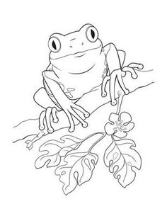 Coqui Frog Coloring Page Printables Frogs 236x305 Coqui Frog Coloring Page Printables Frogs