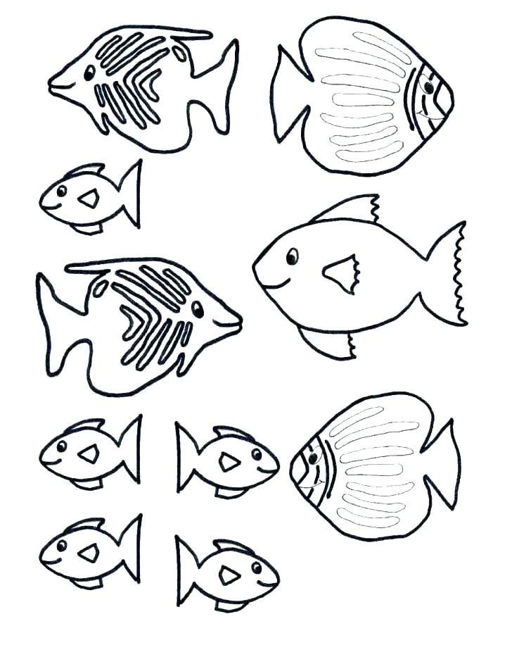 728x943 Fish Template Printable Coloring Fish Coloring Page Free Realistic