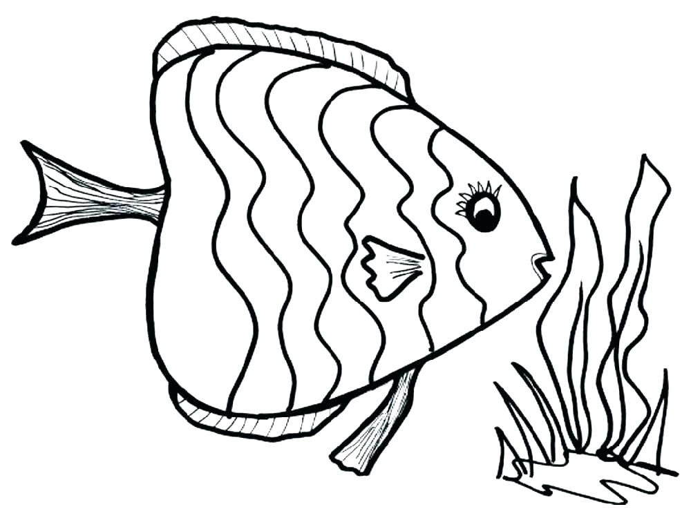 1000x750 Ocean Fish Coloring Pages Ocean Fish Coloring Pages Fish Color