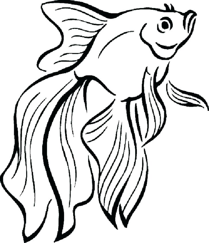 728x846 Clown Fish Coloring Pages Clown Fish Coloring Pages C Is