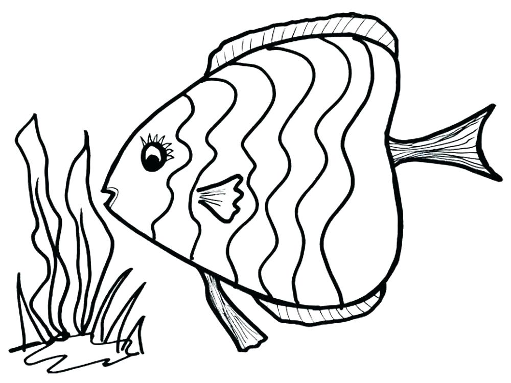 1000x750 Realistic Fish Coloring Pages Fish Coloring Pages Puffer Fish